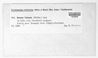 Image Associated With the Occurence